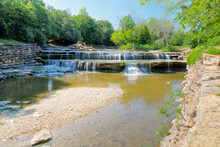 Senior Dogs: Why Adopting Older Pups Is a Life-Changing Choice