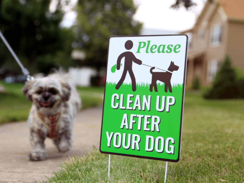 Dog health and wellness resources