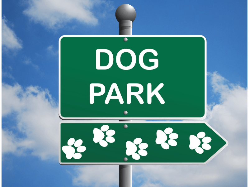 Dog park safety and training resources