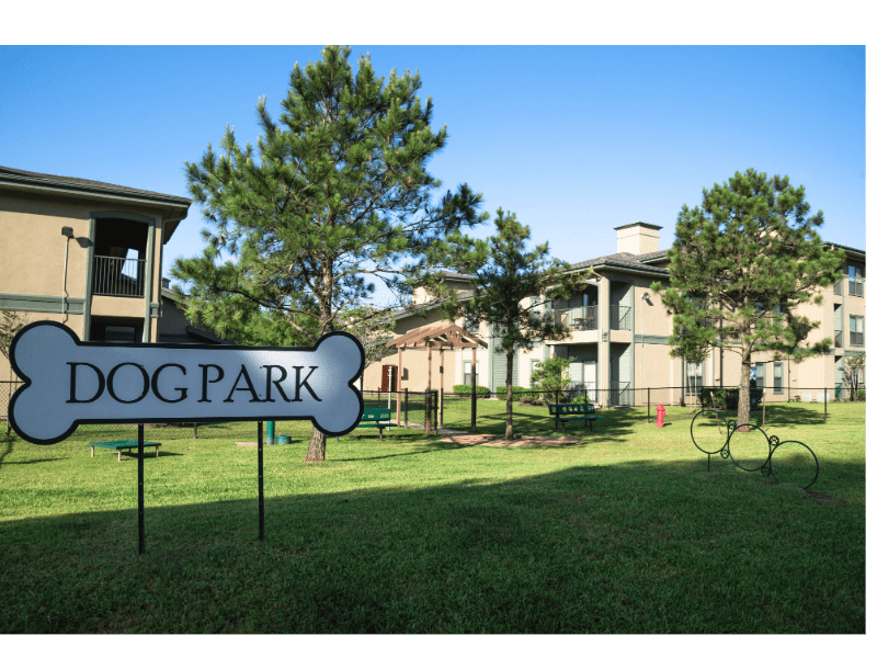 Dogs playing at a Texas dog park